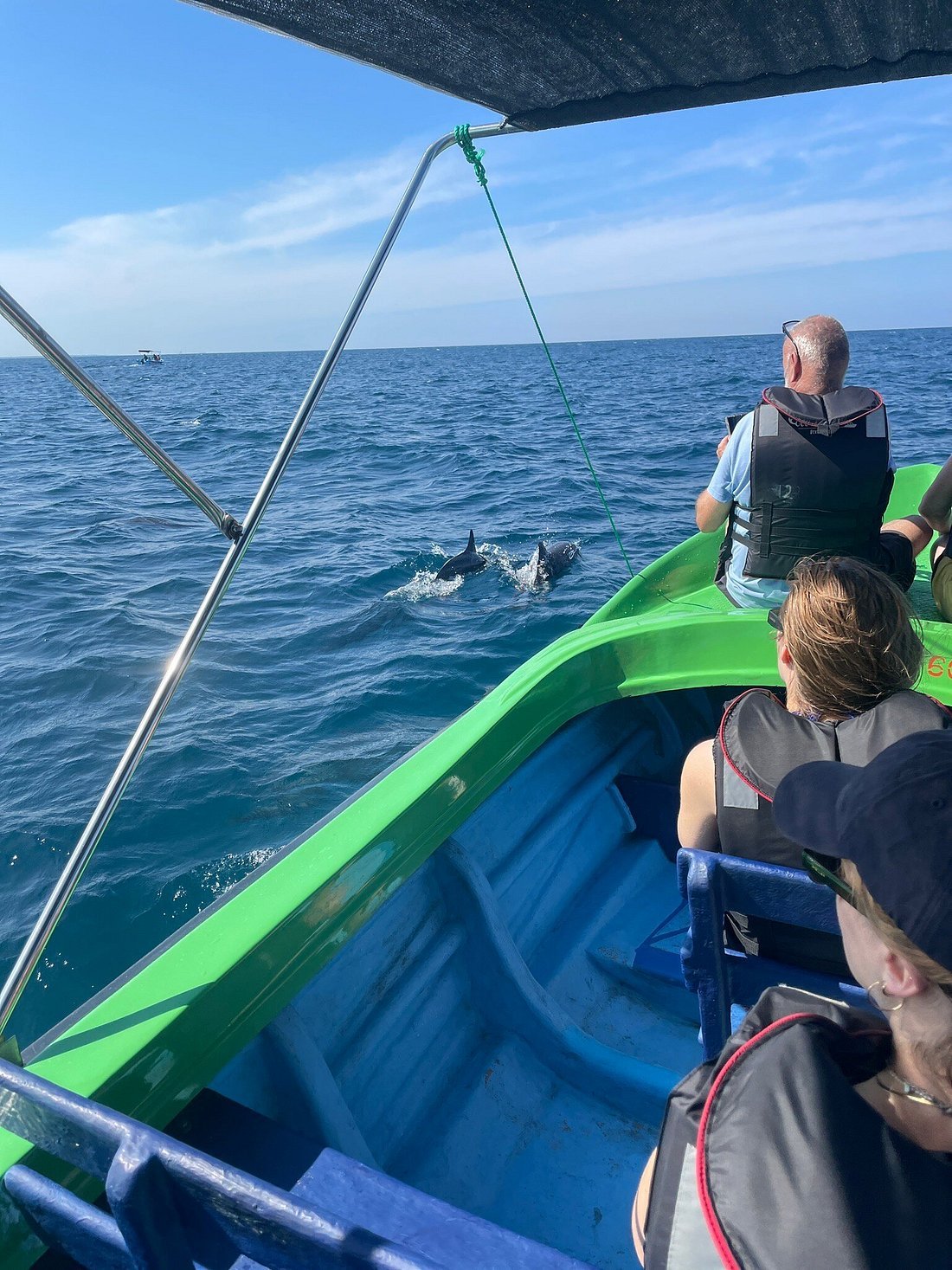 dolphin watching kalpitiya, Sri Lanka